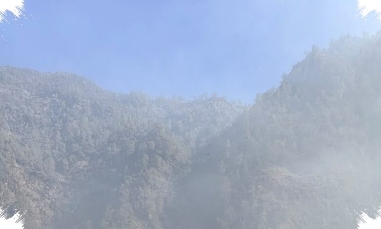 Belum Aman untuk Dikunjungi, Bara di Tanah Tunda Kembalinya Aktivitas Bromo