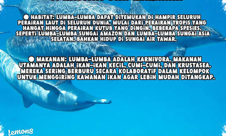 Dua Populasi Lumba-Lumba Terpisah 6.000 Km Memakai Cangkang untuk Menangkap Ikan