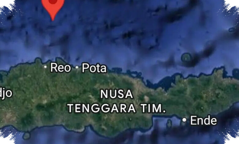Empat Provinsi Sempat Siaga Tsunami Setelah Gempa M 7,7 Guncang NTT