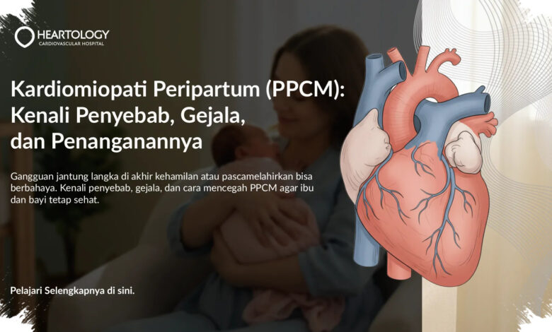 Nyeri Dada di Tangga Mengungkap Kebocoran Katup Jantung yang Lama Tak Terdeteksi