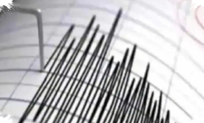 Gempa NTT Menelan 38 Korban Jiwa, Logistik dari Flores Timur Ikut Digeser
