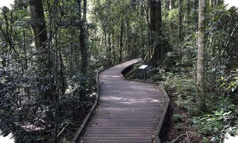Sydney Barat Akan Punya Taman Nasional Baru, Rekreasi Alam Bertemu Perlindungan Budaya