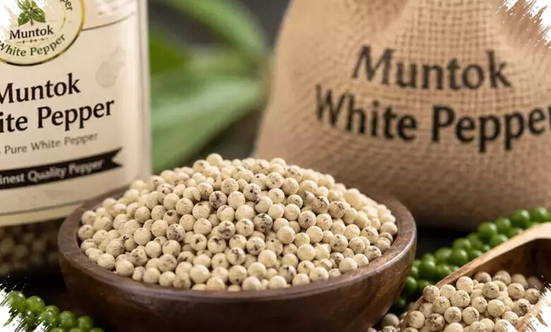 Muntok White Pepper Punya Jalan Baru ke Dunia, 1.300 Petani Bangka Mulai Disiapkan