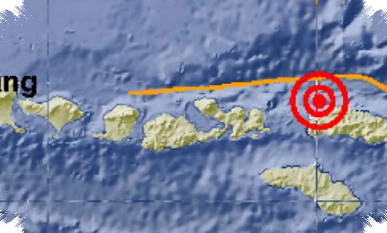 Manggarai Timur Dipantau Langsung, Operasi SAR Gempa NTT Libatkan 711 Personel