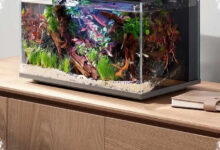 Akuarium Xiaomi Ini Tetap Bisa Memberi Pakan Ikan saat Rumah Ditinggal