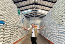 Dari Cadangan 5,2 Juta Ton ke Pasar Malaysia, Ekspor Beras Indonesia Dimulai 1.000 Ton