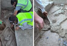 Koin Bergambar Dua Pegulat Ditemukan di Makam Aspendos, Identitasnya Belum Terjawab