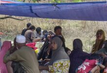 70 Getaran Sudah Dirasakan Warga, Gempa Susulan NTT Dipantau hingga 4 Pekan
