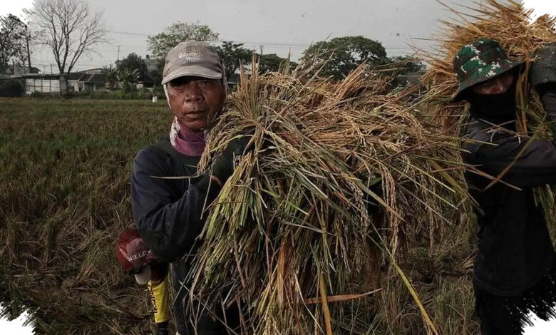 Lonjakan Dana Ketahanan Pangan 2027 Membawa Fokus Baru bagi Petani dan Nelayan