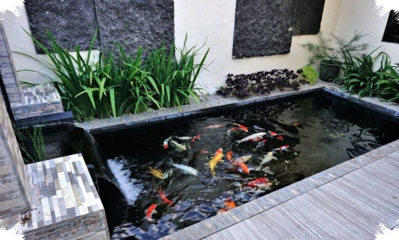 8 Ide Kolam Ikan di Taman Rumah, dari Nuansa Zen hingga Air Terjun Mini