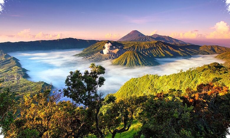 5 Trekking di Pulau Jawa yang Paling Memanjakan Mata, dari Ramah Pemula hingga Ekstrem