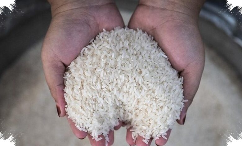 Bapanas Salurkan 1,4 Juta Ton Cadangan Beras Saat Harga Premium Menguat