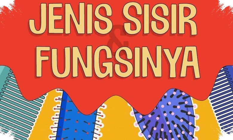 Bentuk Sisir Bukan Sekadar Tampilan, Ada Fungsi Berbeda di Balik Pilihan untuk Rambut