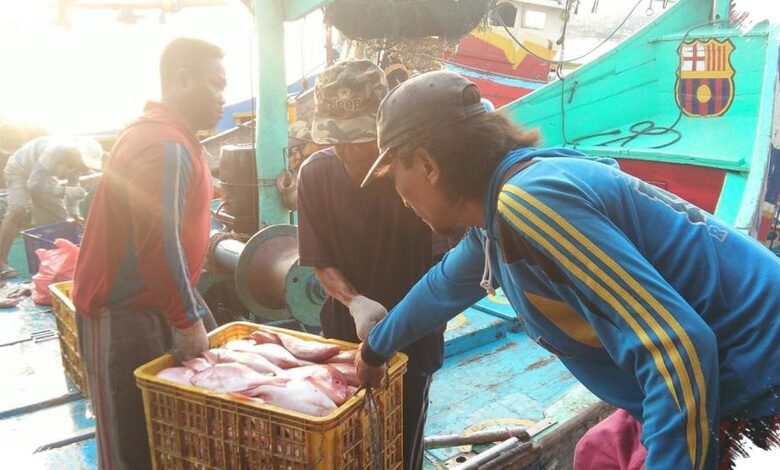 Bukan Cuma Keterampilan, Awak Kapal Kini Wajib Punya BPJS dan PKL