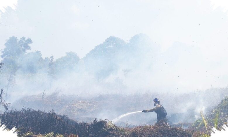 Dua Titik di Bantul Hangus 8 Hektare, Risiko Karhutla Meluas ke Kulonprogo