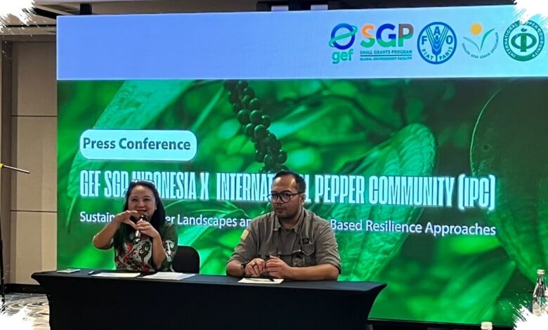 Harga dan Iklim Menekan, Kemitraan Baru Siapkan Lada Indonesia Naik Kelas