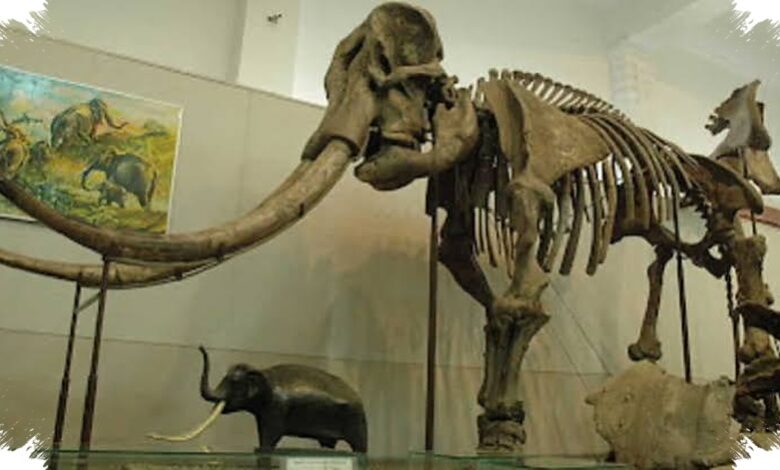 Jejak Serangga di Zirah Fosil Membuka Cerita Baru Kematian Titanosaurus di Spanyol