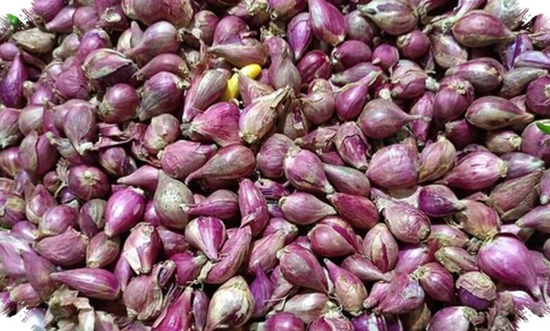 Pasokan Panen Menekan Harga Cabai, Bawang Putih Tetap Paling Mahal di Pasar Rumput