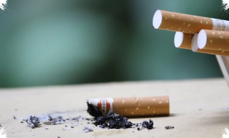 Pengusaha Minta Prabowo Tinjau Ulang Aturan Rokok yang Dinilai Menekan Industri Legal