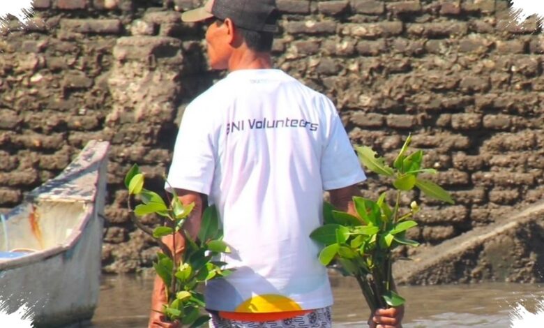 Pesisir Dapat Benteng Alami, 258.000 Mangrove BNI Juga Gerakkan Ekonomi Lokal