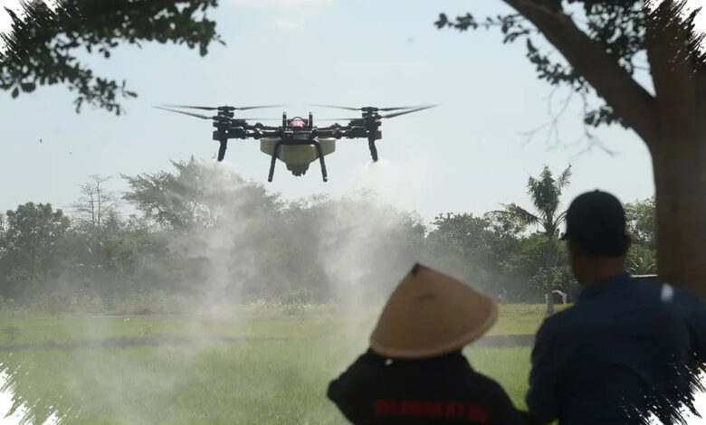 Petani Muda Masih Langka, Padahal Pertanian Siap Menjadi Mesin Pencipta Kerja Dunia