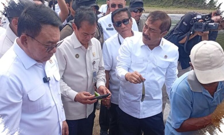 Produktivitas Tambak Nusakambangan Capai 35 Ton per Hektare, Ekspor Menguat